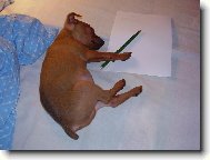 co jsem to cht�l napsat...