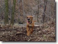 trochu pomotan� lovack� pudy