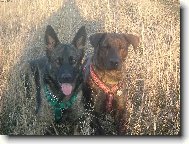 Terri ze Zla��ku+Sally