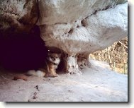 Co kouk�te toje moje bydlen�