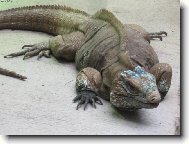 M�L� JE�T�RKA