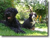 Elisa ze Stam��ic a Betinka