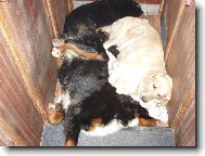 Je�t� se sem n�kdo vejde,fakt...