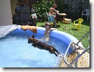 Sakra,zase plac�k,j� se tu �ipku snad nenau��m!!!