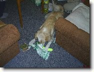 Tak co mi to ten Je��ek letos nalo�il?