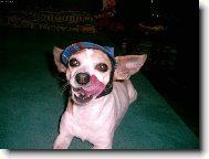 Mlsn� �ivav�k :o)