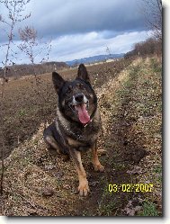 �ek�m na aportek...