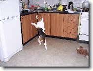 U� um�m st�t jako lidi hur�����