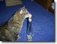 Taky si r�d d�m!!!