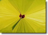 barevn� abstrakce I