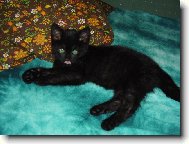 He�, te� jsem tu j�