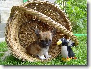 s tu���kem jdeme na houby