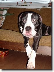 Nebyl by tam je�t� n�jak� d�re�ek\?\?