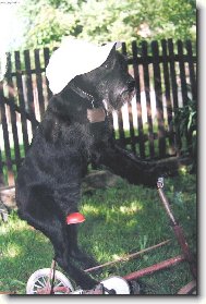 Dr�te si klobouky (�epice) jedeme z kopce