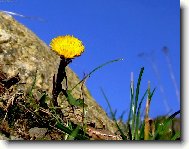 kone�n� az�ro...