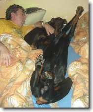 Fox��ek a jeho nev�sta Sydny