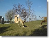 Pr�v� p�ist�v�m