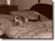 ����� to je n�maha to protahov�n�