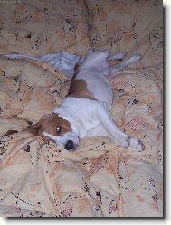 Nech�pu �e lidi takhle nedok�� taky spinkat.