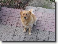 �ek�n� na dobrotku.