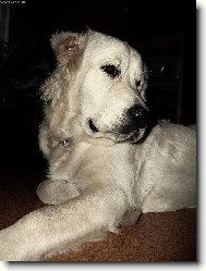 lev� profil m�m hez��....