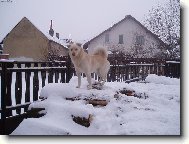 Hl�d�m a neboj�m se.