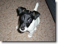 nem�te n�co k j�dlu?