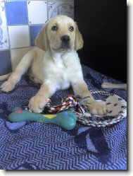 Tak to jsem ne�ekal...