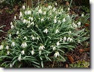 Poslov� jara v Podkrkokno��