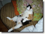 kouk�n� na televizi