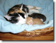 mate�sk� l�ska