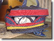 dnes jdu taky do �koly