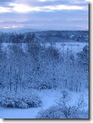 Posledn� pozdrav zimy