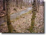 Zimn� p��roda na Slov�cku