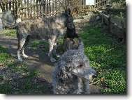 V�ichni p�kn� do �ady!