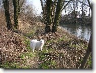 jarn� proch�zka s Ennginkou