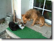 P�kn� von� !!!