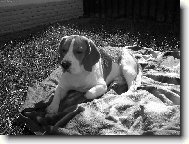 hlubok� p�em��len�