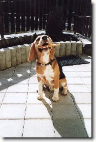 J� to rozkous�m...