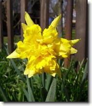 Jaro ve sv� kr�se....