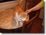 ..jet� za lev�m...