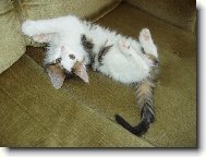 No tak, poj� u� si hr�t...