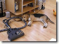 To vys�v�n�, ale zm�h�...