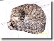 Najdes kde m�m cum�cek???