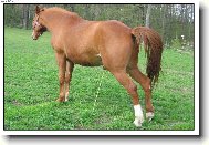 u� jsem to nevydr�el...