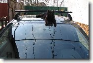 Ko�ka na na�om aut��ku...