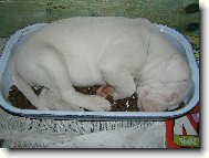 takhle mi to u� nikdo nesn� :-)