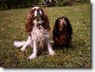 ...budeme se milovat, v nemoci i ve zdrav�, v chudob� i bohactv�....