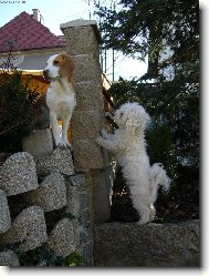 Staneme se kamar�dy ???