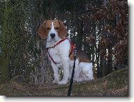 Tady jsem p�nem j����